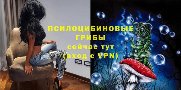 PSILOCYBIN Верея