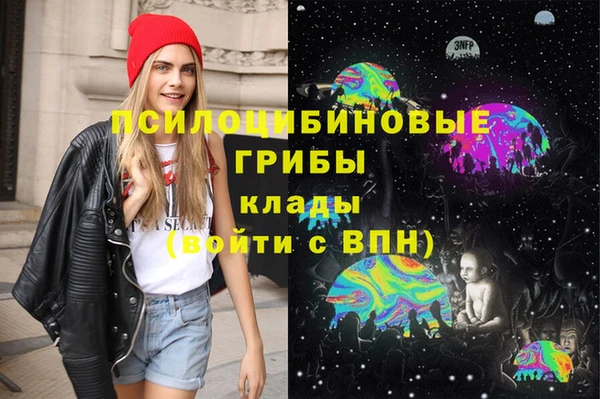 PSILOCYBIN Верея