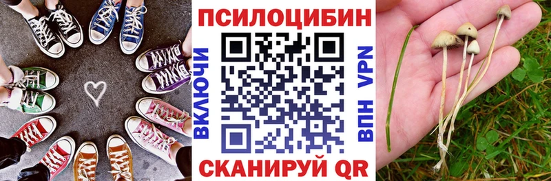 гидра как зайти  Муром  Псилоцибиновые грибы Psilocybe  купить  